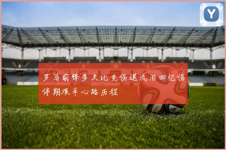 罗马前锋多夫比克伤退流泪回忆伤停期艰辛心路历程