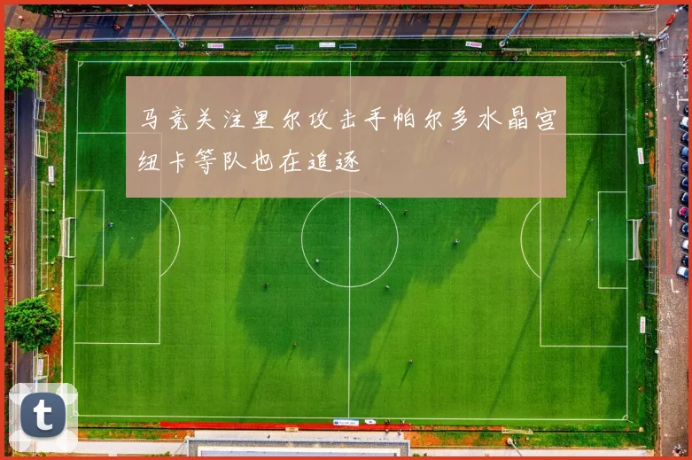 马竞关注里尔攻击手帕尔多水晶宫纽卡等队也在追逐